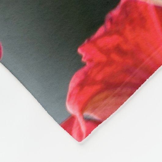 Humming Bird und Rote Blume Fleecedecke (Ecke)