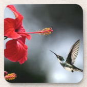 Humming Bird und Rote Blume Getränkeuntersetzer (Vorderseite)