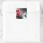 Humming Bird und Rote Blume Quadratischer Aufkleber (Tasche)