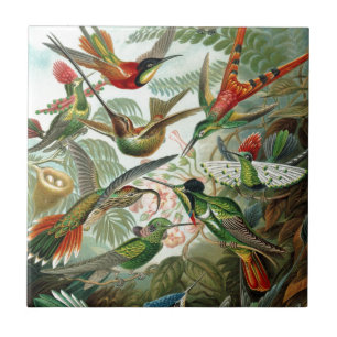 Humming Birds Paradise Art Fliese