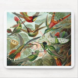 Humming Birds Paradise Art Mousepad