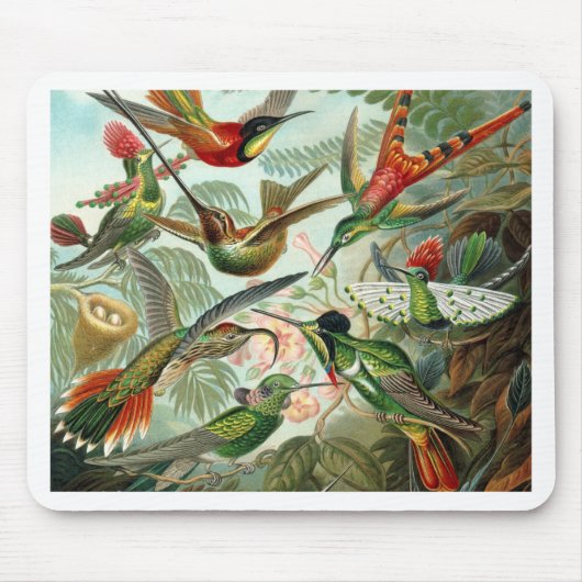 Humming Birds Paradise Art Mousepad (Vorne)