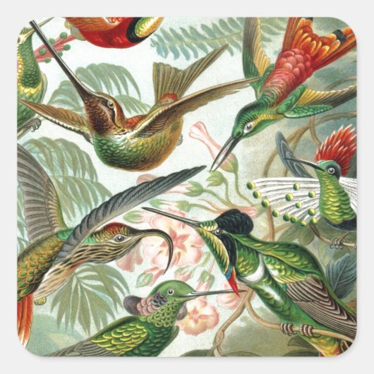 Humming Birds Paradise Art Quadratischer Aufkleber (Vorderseite)