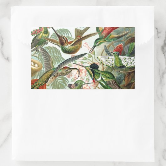 Humming Birds Paradise Art Rechteckiger Aufkleber (Tasche)