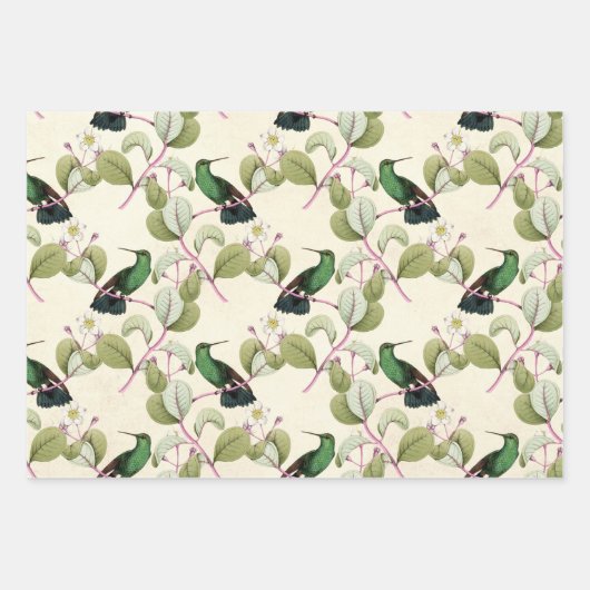 Humming Birds Series Design Three Geschenkpapier Set (Vorderseite)