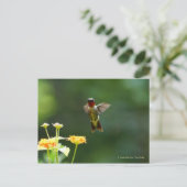 Humming by zu sagen Hi! Postkarte (Stehend Vorderseite)