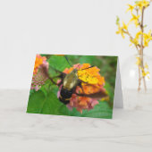 Humming! Karte (Gelbe Blume)