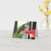 Humming-Vogel am Einzugsfotograf Karte (Gelbe Blume)