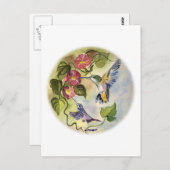 Humming Vögel Postkarte (Vorne/Hinten)