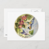 Humming Vögel Postkarte (Vorne/Hinten)