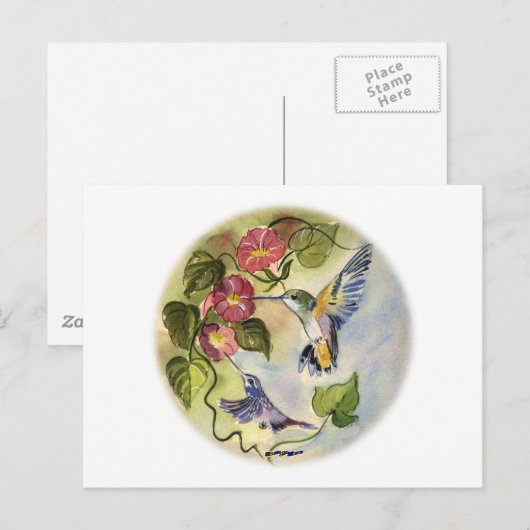 Humming Vögel Postkarte (Vorne/Hinten)