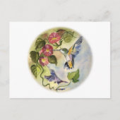 Humming Vögel Postkarte (Vorderseite)