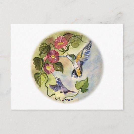 Humming Vögel Postkarte (Vorderseite)