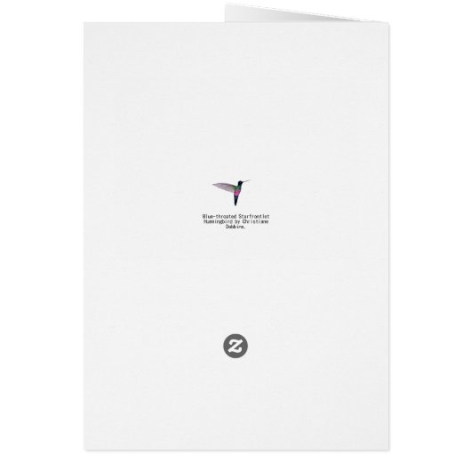 Hummingbird (Hinten)