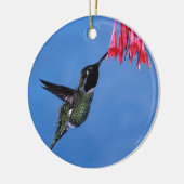 Hummingbird [1] keramik ornament (Links)