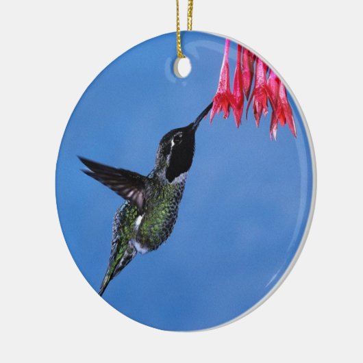 Hummingbird [1] keramik ornament (Links)