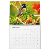 HUMMINGBIRD 2022 Kalender (Jan 2027)
