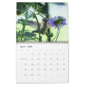 HUMMINGBIRD 2022 Kalender (Mär 2026)