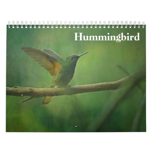 Hummingbird 2025 kalender (Titelbild)