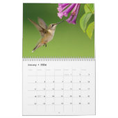 Hummingbird 2025 kalender (Jan 2026)
