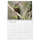 Hummingbird 2025 kalender (Feb 2027)