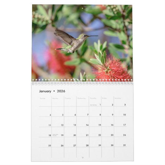 Hummingbird 2026 kalender (Jan 2026)