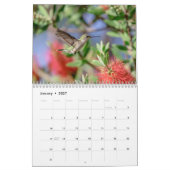 Hummingbird 2026 kalender (Jan 2027)