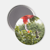 Hummingbird 2, Magnet (Vorderseite/Rückseite)