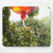 Hummingbird 2, Mousepad (Vorne)