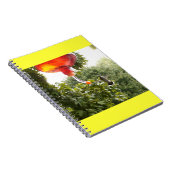 Hummingbird 2 Notebook Notizblock (Rechte Seite)