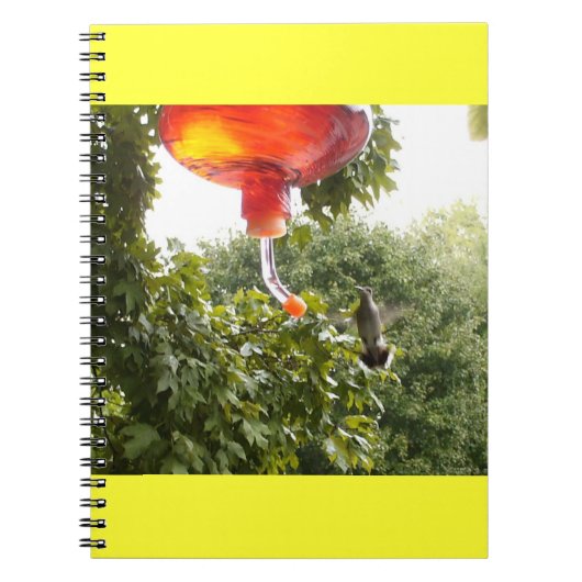 Hummingbird 2 Notebook Notizblock (Vorderseite)