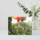 Hummingbird 2, Postkarte (Stehend Vorderseite)