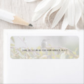 Hummingbird 3346 (Insitu)