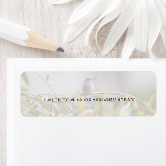 Hummingbird 3346 (Insitu)