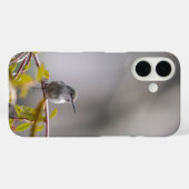 Hummingbird 3346 Case-Mate iPhone hülle (Rückseite (Horizontal))