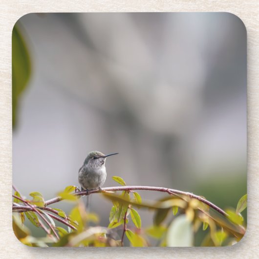 Hummingbird 3346 getränkeuntersetzer (Vorderseite)