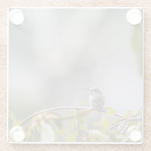 Hummingbird 3346 glasuntersetzer (Rückseite)