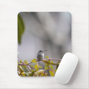 Hummingbird 3346 mousepad