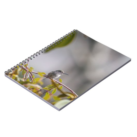 Hummingbird 3346 notizblock (Linke Seite)