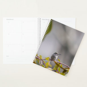 Hummingbird 3346 planer