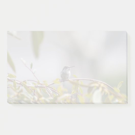 Hummingbird 3346 post-it klebezettel (Vorderseite)