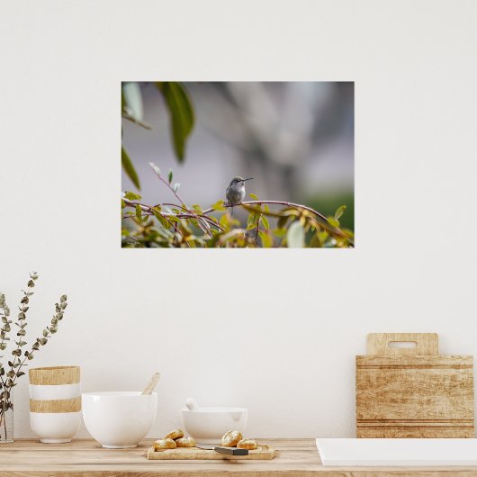 Hummingbird 3346 Poster (Küche)