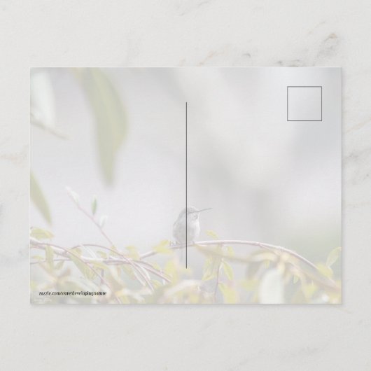 Hummingbird 3346 postkarte (Rückseite)