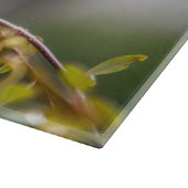 Hummingbird 3346 schneidebrett (Ecke)