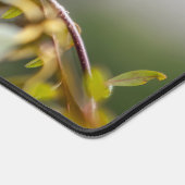 Hummingbird 3346 schreibtischunterlage (Ecke)