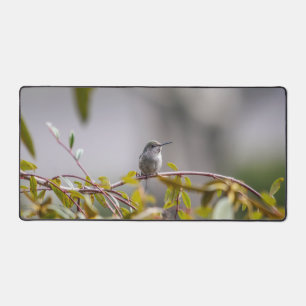 Hummingbird 3346 schreibtischunterlage