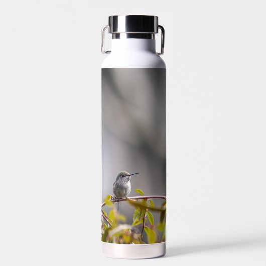 Hummingbird 3346 trinkflasche (Vorne)
