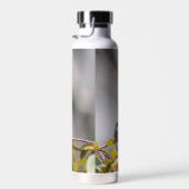 Hummingbird 3346 trinkflasche (Rechts)