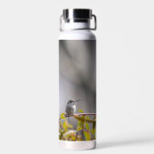 Hummingbird 3346 trinkflasche (Rückseite)