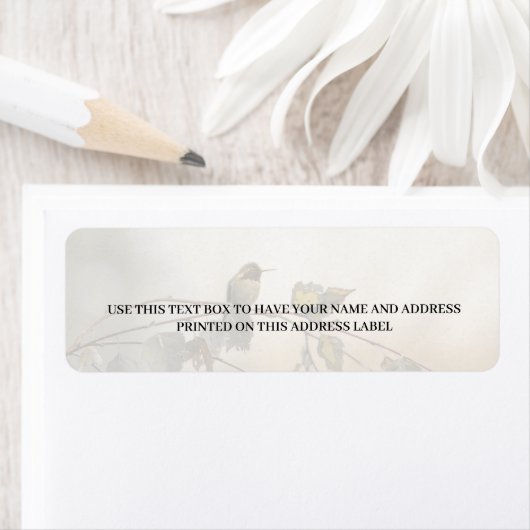 Hummingbird 5265 (Insitu)